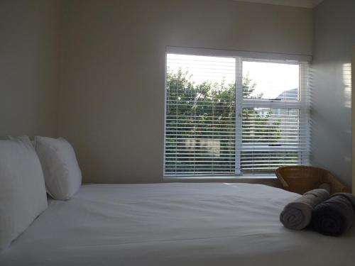 Seafront! Home in Boggomsbay Seafront! Home in Boggomsbay