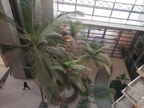 מלון אוקיינוס דירות נופש בהרצליה מלון אוקיינוס דירות נופש בהרצליה