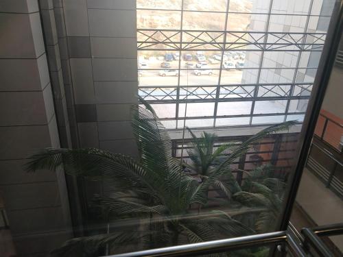 מלון אוקיינוס דירות נופש בהרצליה מלון אוקיינוס דירות נופש בהרצליה