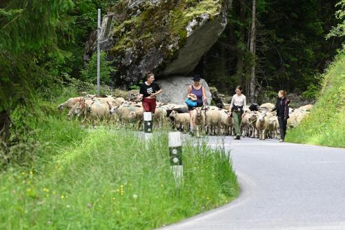 Agritourisme de Montagnier in Bagnes