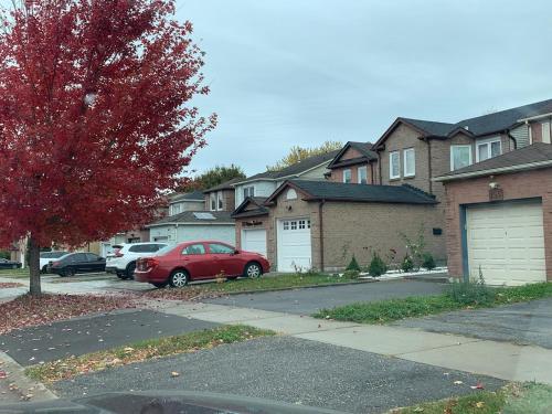 ทัศนียภาพ, 2-bedroom entire suite in Toronto- free parking! near สวนสัตว์โตรอนโต