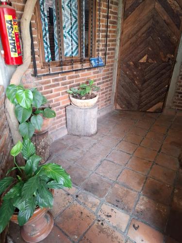 Hospedaje Migue & Cata y Temazcal Kuatlicue Chignahuapan Centro Holistico Hospedaje Migue & Cata y Temazcal Kuatlicue Chignahuapan Centro Holistico