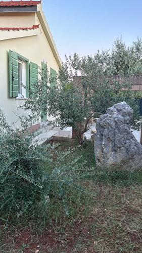 Viesnīcas āriene, Kuća Muštra (Kuca Mustra) in Bristivica