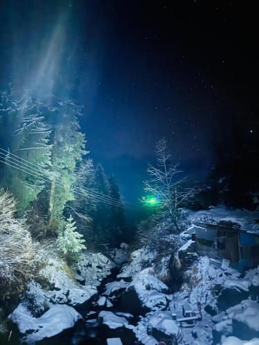 Yellowjackets Hostel Yellowjackets Hostel