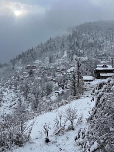 Yellowjackets Hostel Yellowjackets Hostel