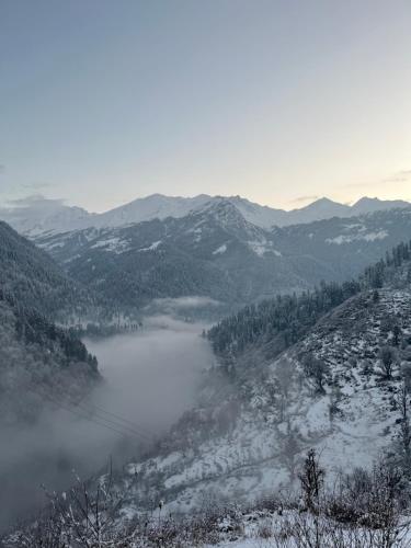 Yellowjackets Hostel Yellowjackets Hostel