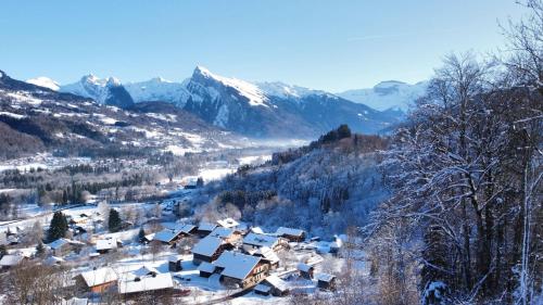 Chalet, vue sur la vallée, Domaine skiable Grand Massif, Morillon (photo 5)