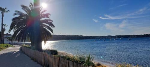 Front de mer - Emplacement prisé - T2 moderne et climatisé - Tout à pied, Bandol (fotografie 7)