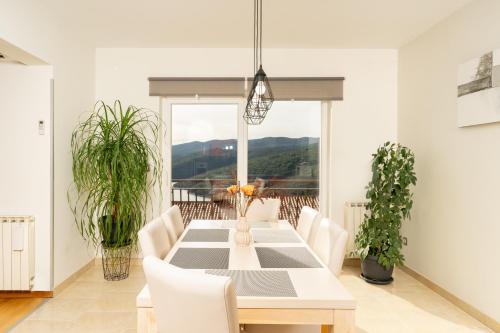 Apartments Oriana - image 3