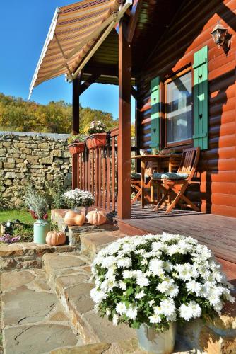 The Village Cottage in Natsovtsi