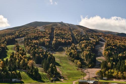 Deluxe Double or Twin Room with Mountain View