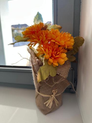 Moderne FerienWohnung NeuBau Merzig Moderne FerienWohnung NeuBau Merzig