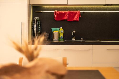 Sonnmatten Boutique Hotel & Apartments Zermatt - image 14