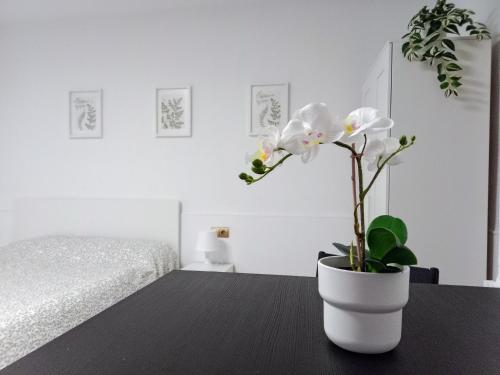 Hermoso Estudio Centro de Malaga, Málaga