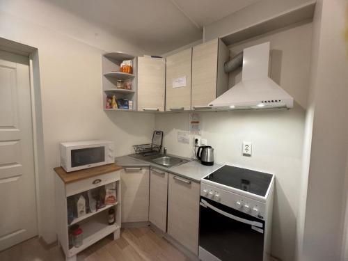 Peaceful Stay in Central Tallinn in Kitsekula
