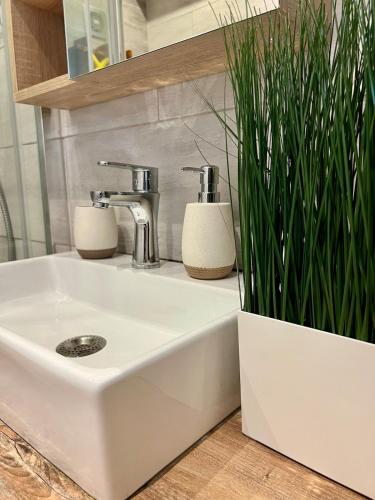 ADM Cozy Apartment in City Center - Netflix, Coffee, AC, Bratislava (fotografie 7)