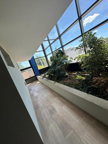 Tromarco Estudio in Cuadricula