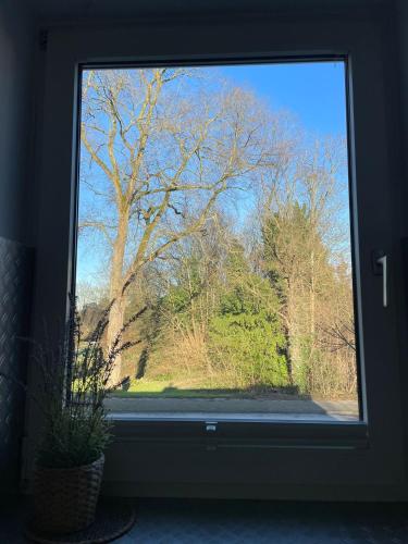 Ideale Unterkunft in Düsseldorf-Nord, Düsseldorf (fotografie 9)