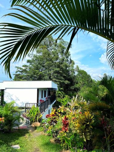 Finca El Bazar - La Pompa