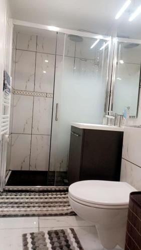 Cozy and well located apartment in Трембле-ен-Франс