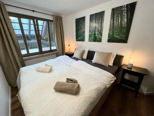 Schwarzwald Apartment mit Sauna 2 Zimmer frisch renoviert in Todtmoos, Deutschland