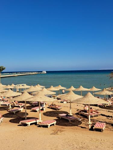 Studio in elkarma resort & aqua park 5