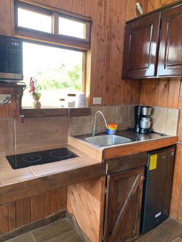 廚房, Cabaña Rancho Don Marino (Cabana Rancho Don Marino) in 卡塔戈