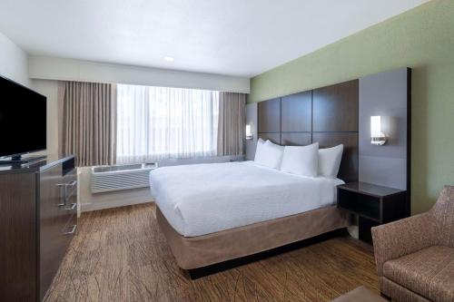 Best Western Pony Soldier Inn & Suites - image 10