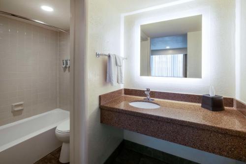 Best Western Pony Soldier Inn & Suites - image 12