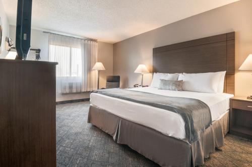 American Inn & Suites Metro Airport - image 5