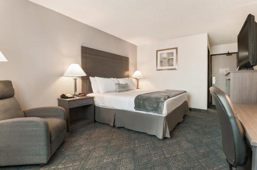 American Inn & Suites Metro Airport - image 2