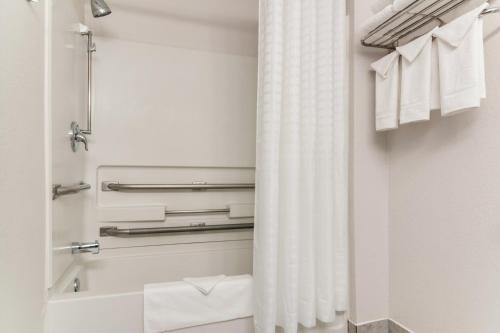 American Inn & Suites Metro Airport - image 11