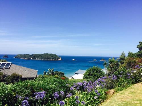 Hahei Heaven in Hahei