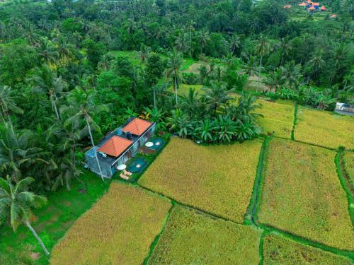 The Alus Cottage and Villa