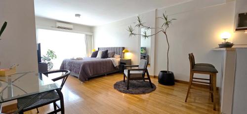 One-Bedroom Apartment image 9
