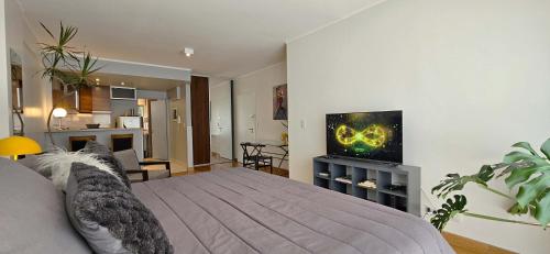 One-Bedroom Apartment image 7