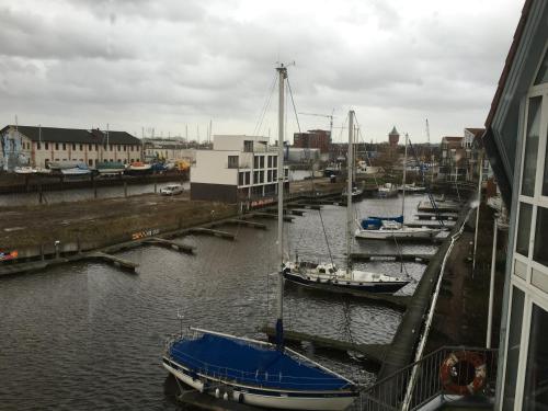 City Marina 78 - image 12