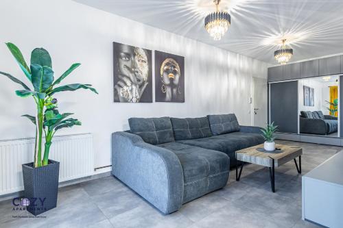 Luxury Collection Flats in Centre of #Beautiful #Brasov at #Coresi Mall - image 4