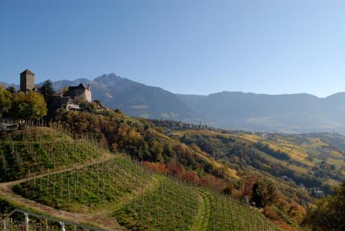 Residence Amelia - main image