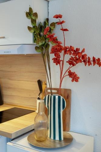 Le Péri - Douillet appartement en Hypercentre, Tuluza (zdjęcie 7)