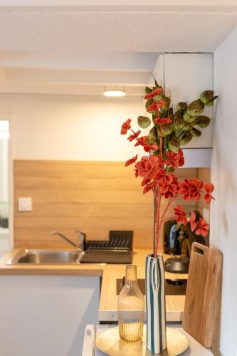 Le Péri - Douillet appartement en Hypercentre, Tuluza (zdjęcie 6)