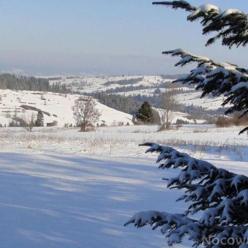 U podnóża Tatr Biały Dunajec, Закопане (фото 10)