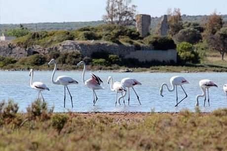 Salento Beach, San Pietro in Bevagna (fotografie 4)