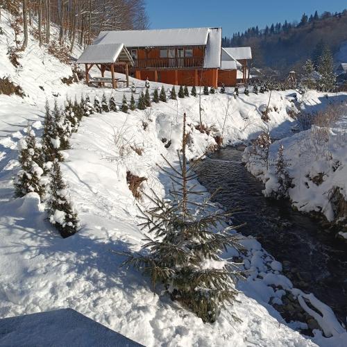 Family House in Bukovets