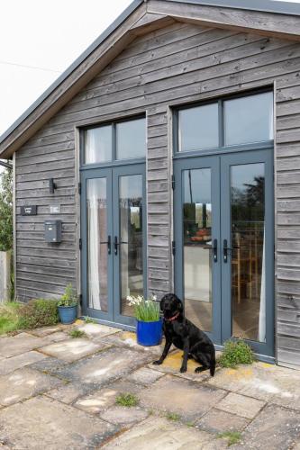 Leveret Lodge with secure garden for Dogs in Chislet
