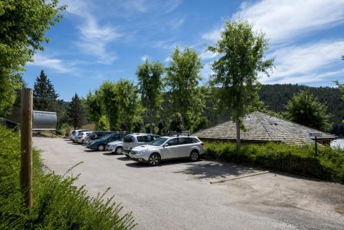 Domaine Aigoual Cevennes - image 7