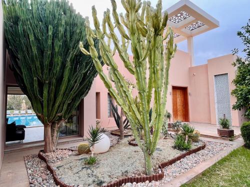 Hala Luxury Domain Hala Luxury Domain