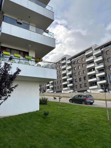 Sunny Nest Sunny Nest