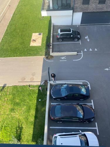 Sunny Nest Sunny Nest