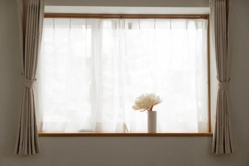 meet, Asahikawa (photo 7)